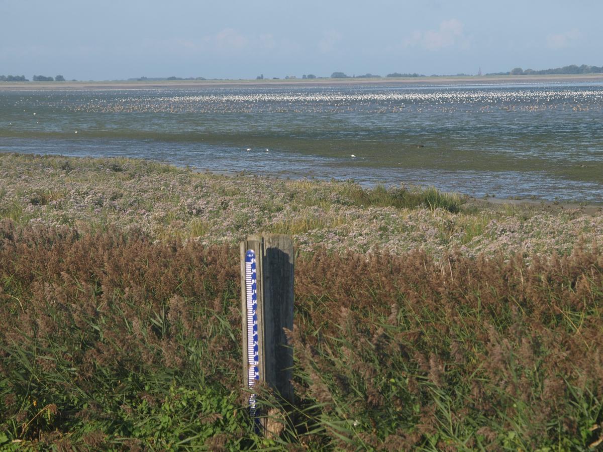 Villa Charme Logies Wad Zout 'T Westerland Exterior foto